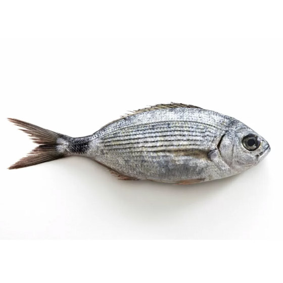 Pesce